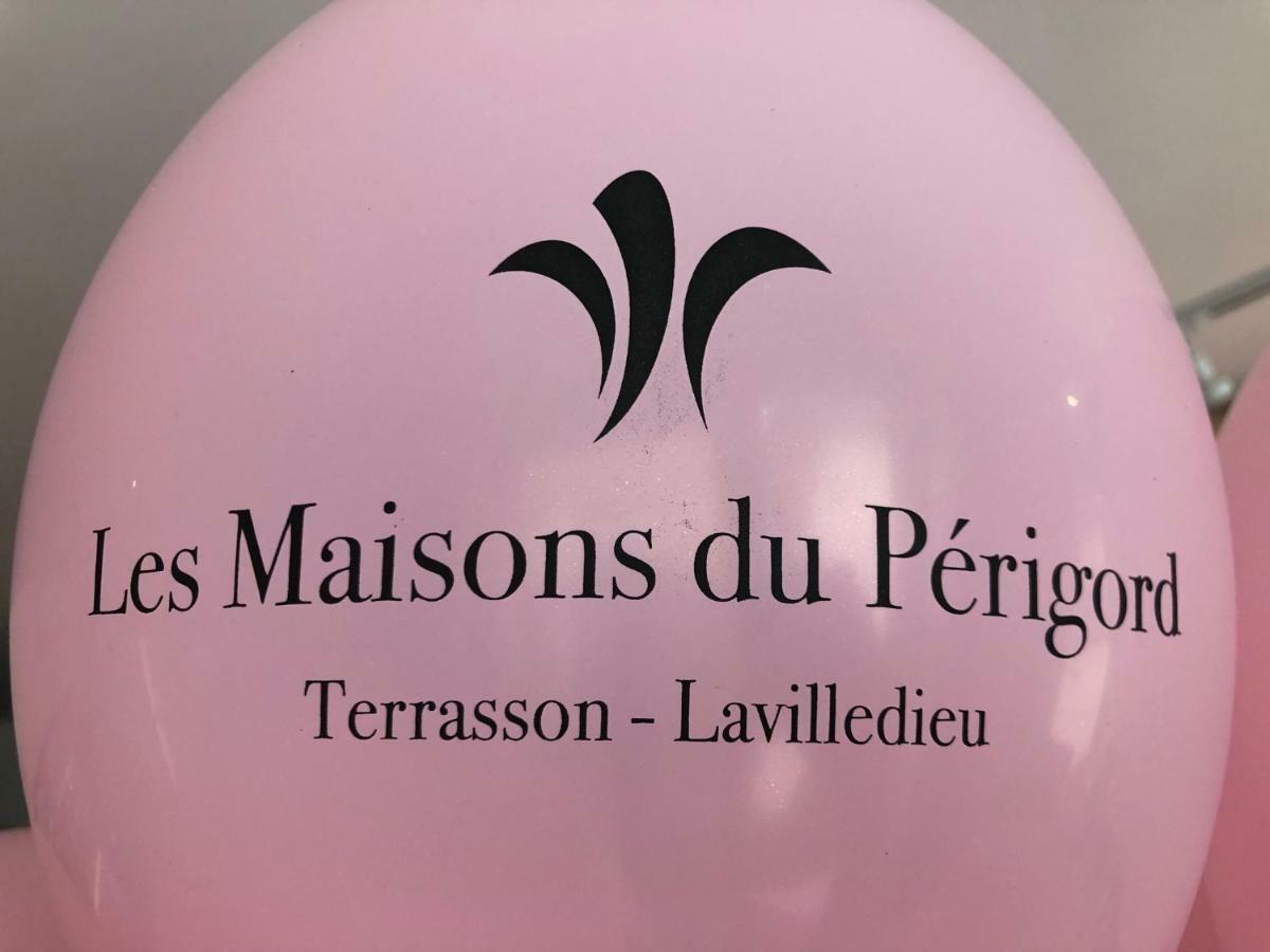 Les Maisons Du Perigord Terrasson-Lavilledieu